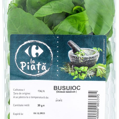 Busuioc
